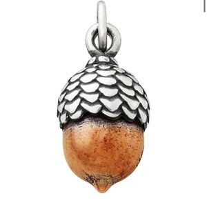 ISO James Avery Acorn Charm